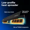 16 GB Crucial Pro module - DIMM 288-PIN low profile - 6000 MHz / PC5-48000 - CL48 - 1.1 V - unbuffered - on-die ECC - matzwart