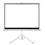 Projectiescherm Sponge Silelis 180 x 180 cm statiefmontage, matwit oppervlak, draagbaar