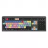 Logickeyboard LKB-PPROCC-A2M-UK toetsenbord USB QWERTY Engels Zwart (LKB-PPROCC-A2M-UK)