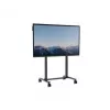 Elektrische touchscreen-standaard AVTEK 1MV137 in hoogte verstelbare mobiele houder voor interactieve displays