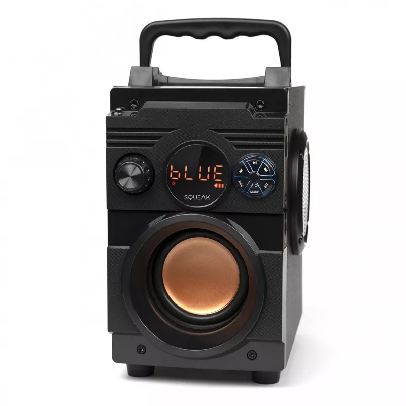 Squeak Bassblaster Bluetooth 5.1 luidspreker, FM-radio, MP3-speler SQ1001