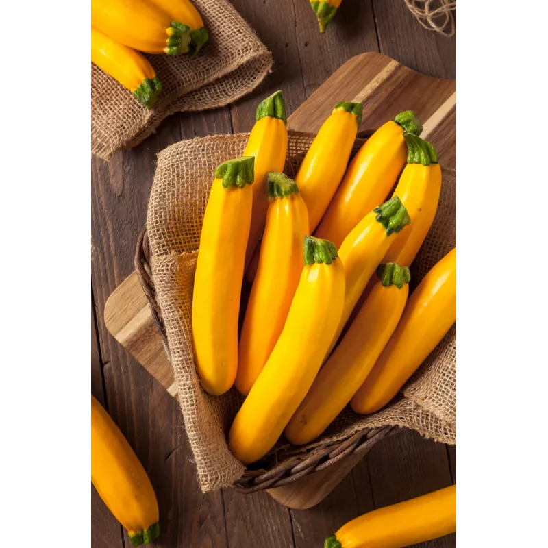 Gouden courgette Toraf groentezaden, 5g pakket