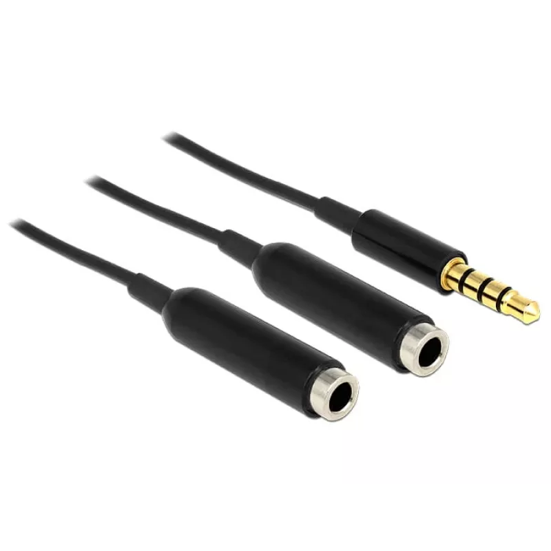 Audiokabel DeLOCK 65575 0,25 m 3,5 mm 2 x 3,5 mm zwart