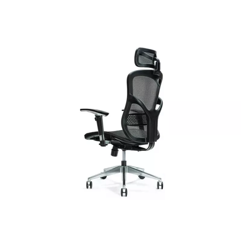 Ergonomische bureaustoel ERGO 500 zwart