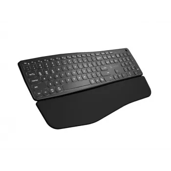 NATEC PORIFERA Toetsenbord Home/Office Bluetooth QWERTY US International Zwart