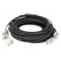 Breakout-kabel Digitus DK-2433CU030BK-BBB 30 m OM4 12 vezels LC/UPC