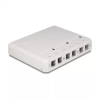 DeLOCK 67052 keystone-opbouwbehuizing voor glasvezelmodules, 6-poorts, wit