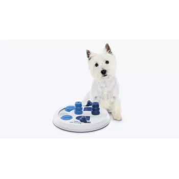 Interactief honden puzzelspeelgoed Trixie Flip Board voor snacks en voeruitgifte, kunststof, 22 cm diameter, antislip basis, voor kleine rassen 5–10 kg