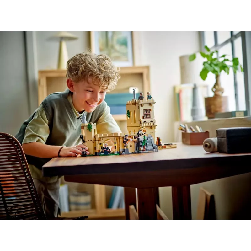 LEGO HARRY POTTER 76447 Zweinstein: Vliegles