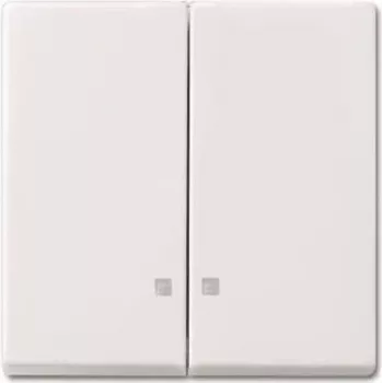 BUSCH JAEGER 2CKA001731A3996 - wip - wit - IP20
