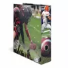 Motiefmap A4 Herma 20109 American Football