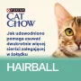 CAT CHOW Hairball Control kip sperziebonen in saus 85 g
