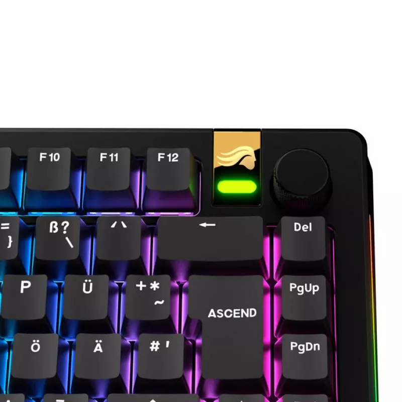 Keycaps GLORIOUS GPBT Basics — PBT-toetsenkapjesset, DE-ISO-indeling, zwart