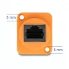 DeLOCK netwerkkabel 90804 0,3 m Cat5e U/UTP RJ-45 zwart oranje