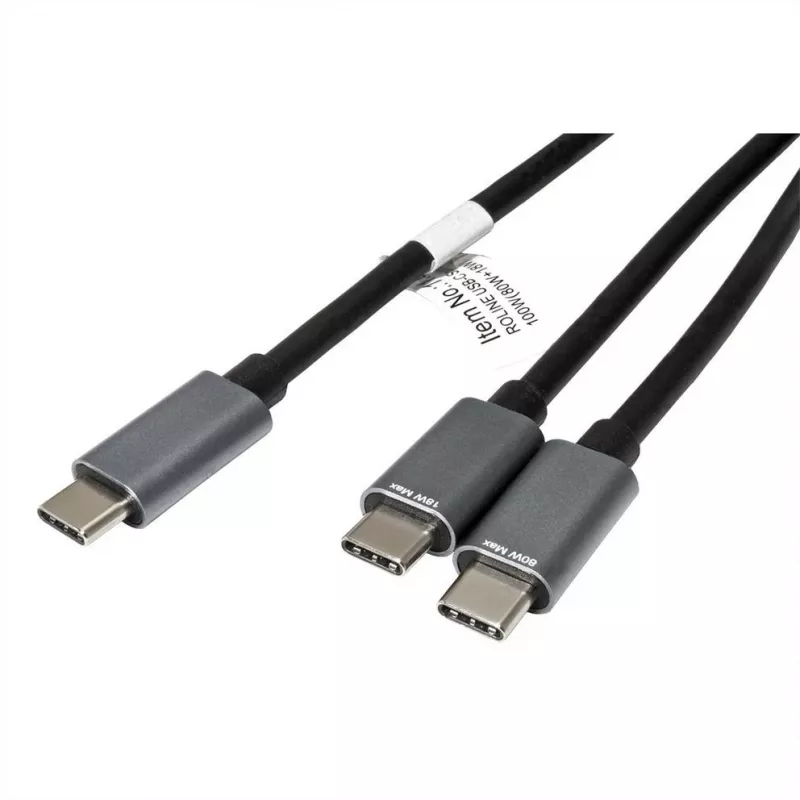 ROLINE - USB-kabel - 24-pins USB-C (M) naar 24-pins USB-C (M) - USB 2.0 - 1,85 m - USB-voeding (100 W) - zwart (11.02.8308)