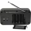 Inter Sales DENVER DAB-42 - draagbare DAB-radio - 1 watt
