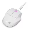Sharkoon OfficePal M25W draadloze kantoormuis, rechtshandig, 4000 DPI
