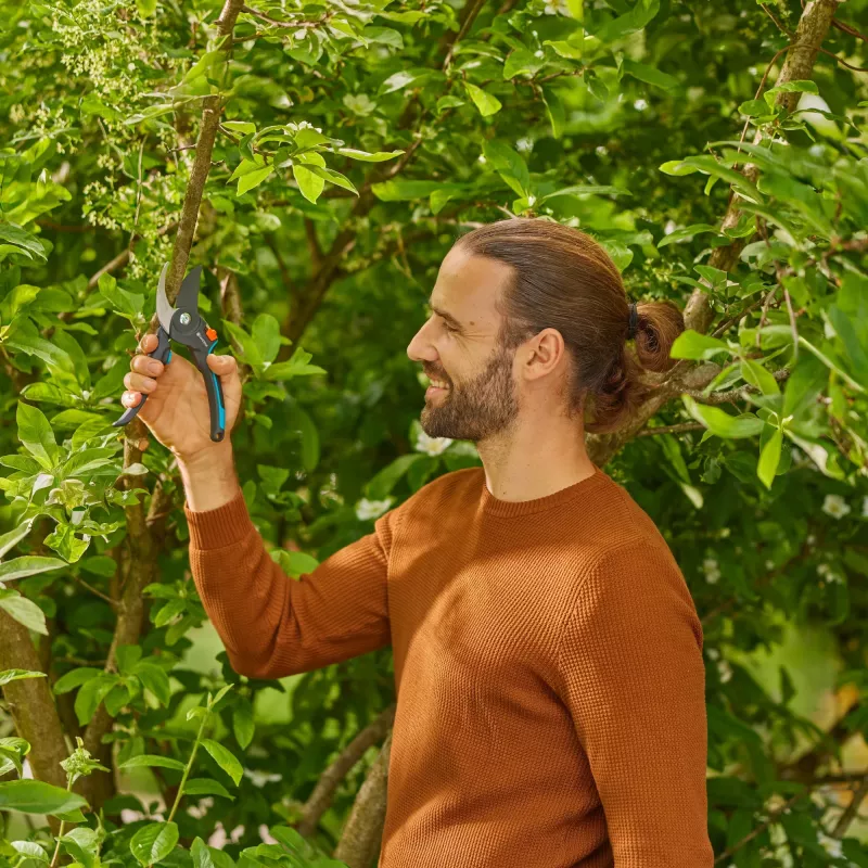 Takenschaar PremiumCut Pro - vers hout grijs/turkoois, bypass