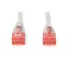 Netwerkkabel ASSMANN Electronic DK-1617-010S RJ-45 Cat6 1 m grijs
