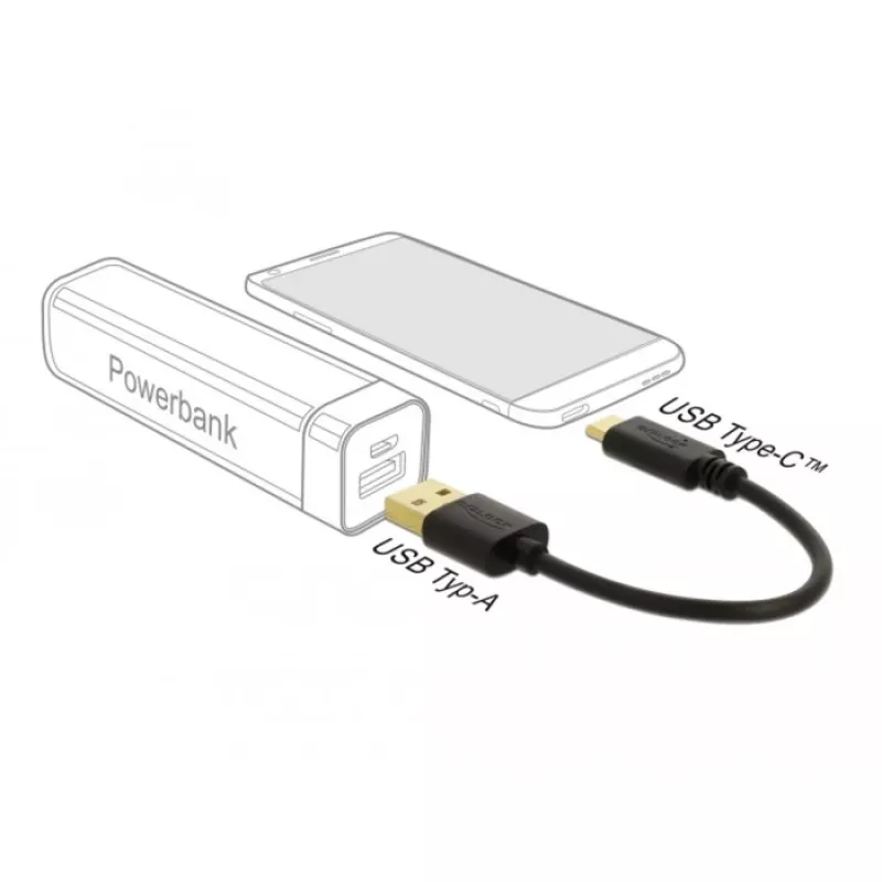 USB-oplaadkabel DeLOCK 80954 Type-A naar USB Type-C 3 A 15 cm