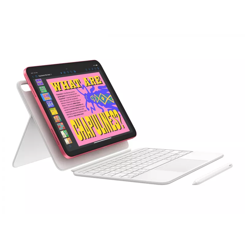 Apple iPad 256 GB 27,9 cm (11) Wi-Fi 6 (802.11ax) iPadOS 18 roze