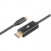 USB-C-naar-DisplayPort-kabel TB AKTBXVDUSBCDP2B 2 m – zwart