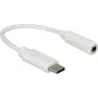 Audiokabel DeLOCK 65913 0,14 m 3,5 mm USB wit