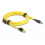 Delock kabel RJ45-stekker Cat.6 naar Mini I/O 8 pin D-Form Type 2 2 m (81251)