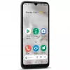 Doro 8100 Plus 15,5 cm (6,1 inch) Dual-SIM Android 11 Go Edition 4G USB Type-C 2 GB 32 GB 3000 mAh grijs (380501)