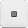 Legrand 776211 wandplaat/schakelaarafdekking wit