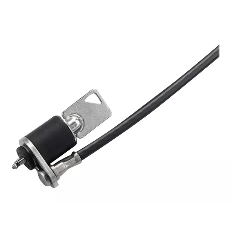 Lenovo 57Y4303 kabelslot zwart, zilver 1,52 m