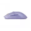 Muis Steelseries 62525 RF Wireless + Bluetooth