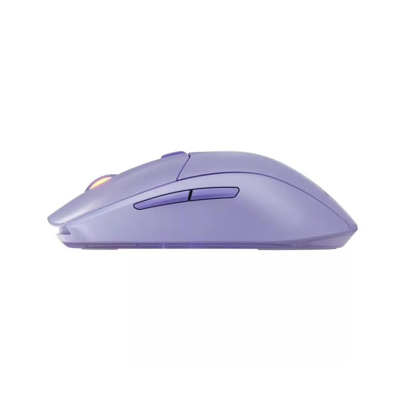 Muis Steelseries 62525 RF Wireless + Bluetooth