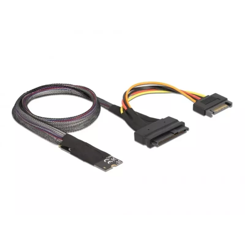 DeLOCK M.2 Key M naar U.2 SFF-8639 NVMe-adapter met 50 cm kabel