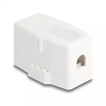 Delock 85841 Lege Keystone-behuizing, 1 poort, magnetische voet, wit