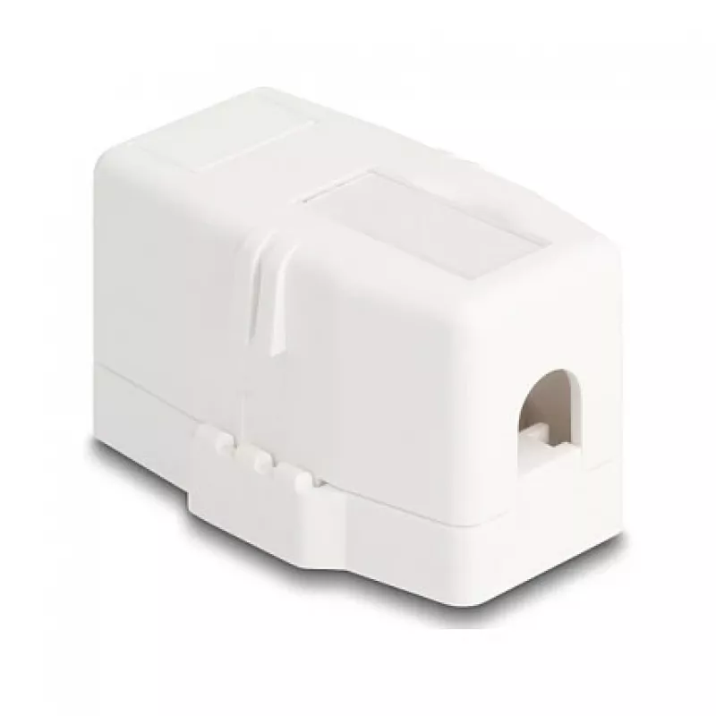 Delock 85841 Lege Keystone-behuizing, 1 poort, magnetische voet, wit