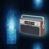Draagbare radio MANTA RDI917PRO met bluetooth en USB-weergave
