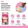 INABA Churu tonijn met garnalensmaak - kattensnacks - 4x14 g