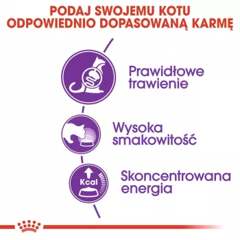 Droogvoer voor katten Royal Canin Sensible 33 Adult — 2 kg, eiwit 33%, vet 22%, ondersteunt de spijsvertering, gevogeltesmaak