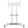 Tv-standaard ONKRON TS1351-W voor 32–65 inch tv, wit, universele vloerstandaard