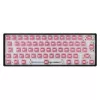 White Shark Roserift mechanische toetsenbordschakelaars, 65 stuks