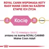 ROYAL CANIN Maine Coon Kitten - droogvoer voor katten - 4 kg