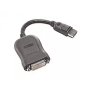 Adapter DisplayPort naar Single-Link DVI-D Lenovo 45J7915