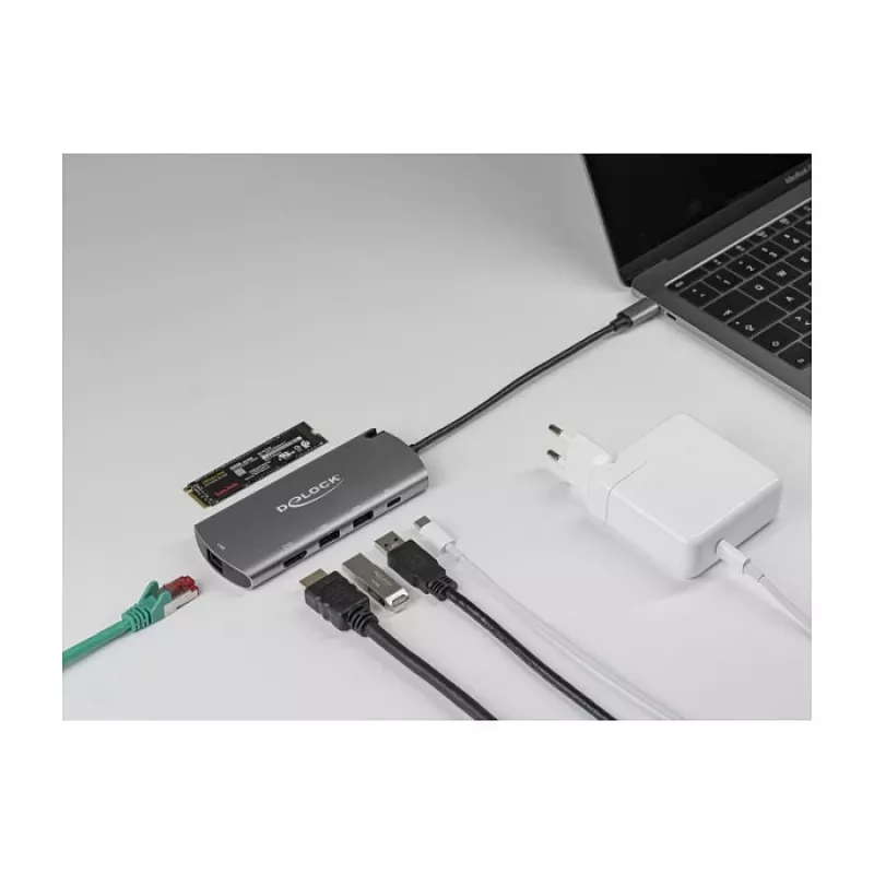 Dockingstation DeLOCK USB Type-C dockingstation met M.2-slot