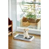 ZOLUX honden-/kattenbak open kattenbak zwart, grijs