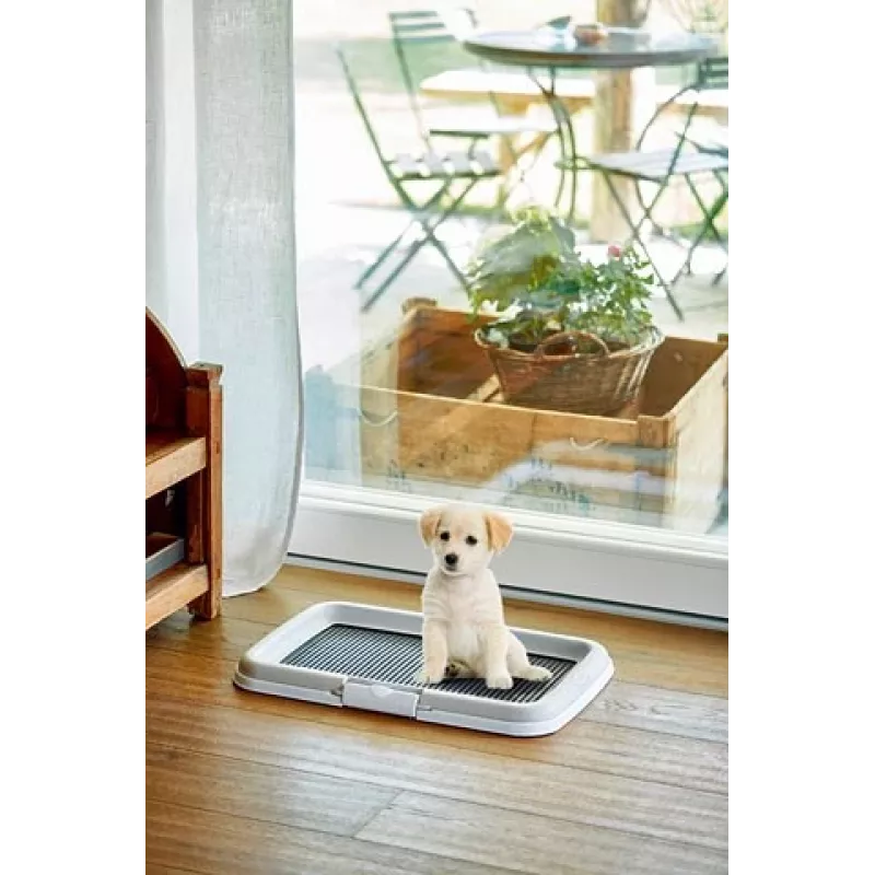 ZOLUX honden-/kattenbak open kattenbak zwart, grijs