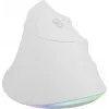 NATEC Crake 2 Pro muis universeel rechtshandigen USB Type-A optisch 12800 DPI