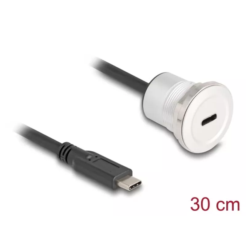 USB-kabel DeLOCK 88183 0,3 m USB-C zwart zilver