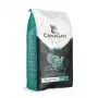 Canagan droogvoer voor katten Dental 1,5 kg