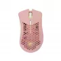 Muis White Shark WGM-5012 Lionel roze USB